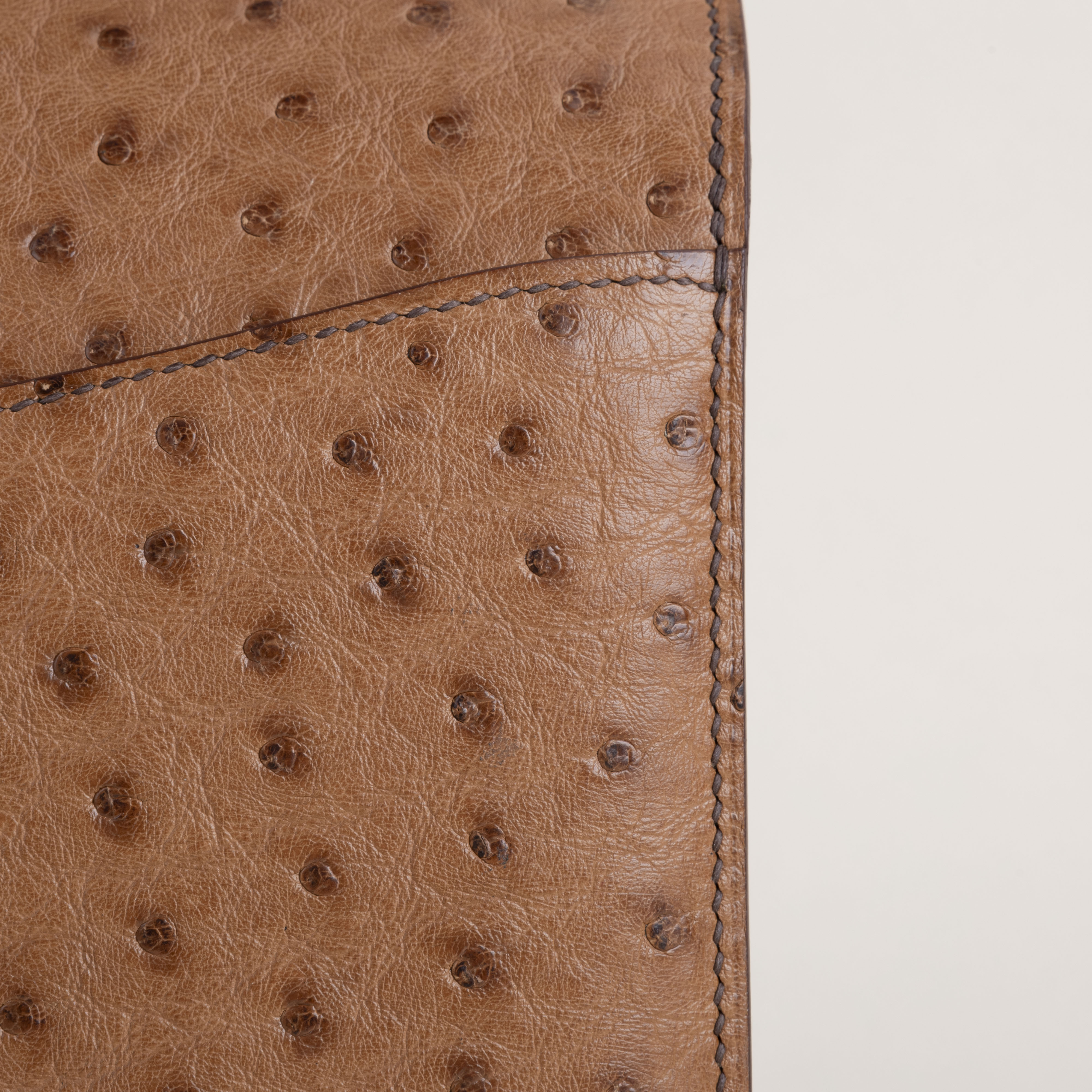 Constance 24cm Ostrich 35 Cognac GHW
