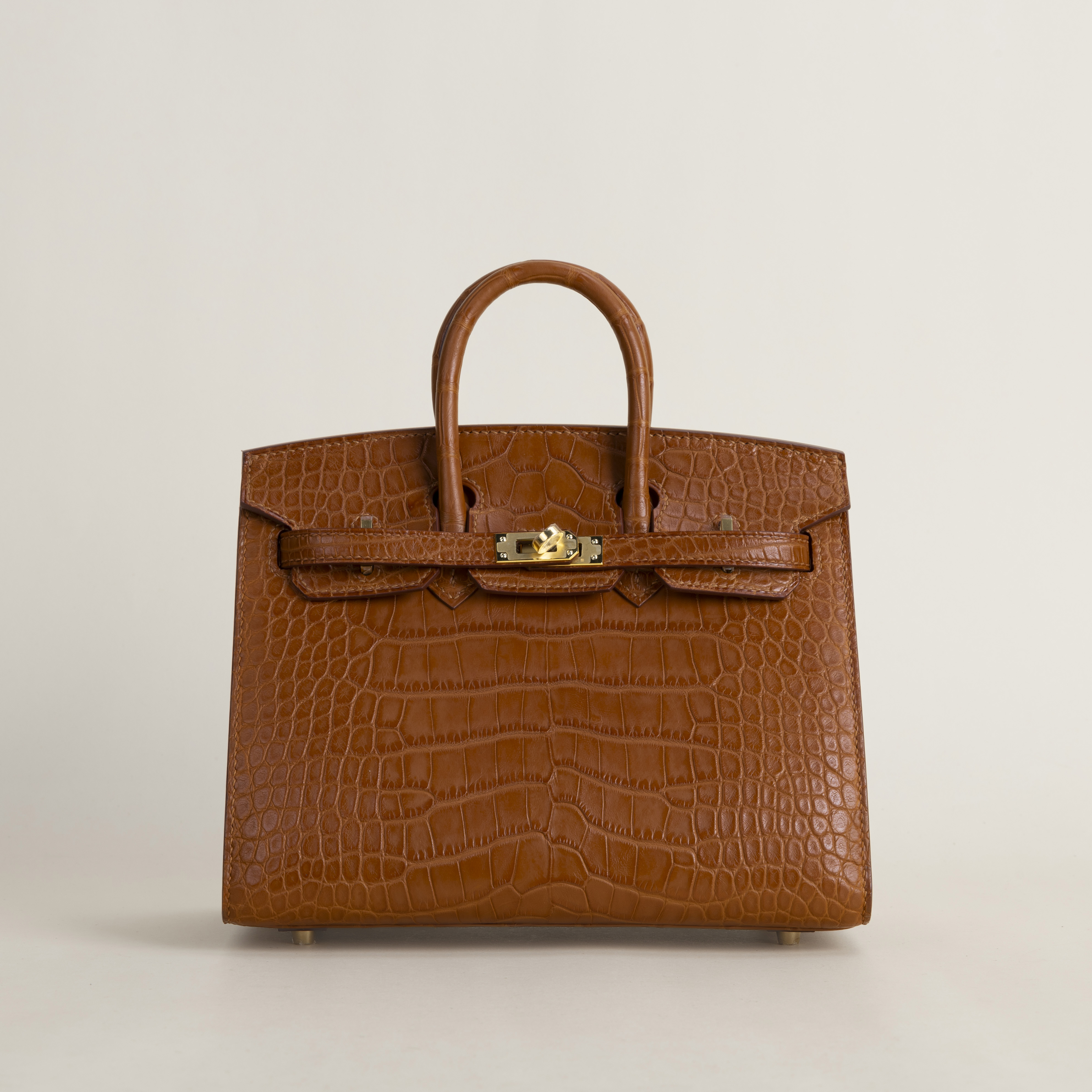 Birkin 20cm Matte Alligator Crocodile CC37 Gold GHW