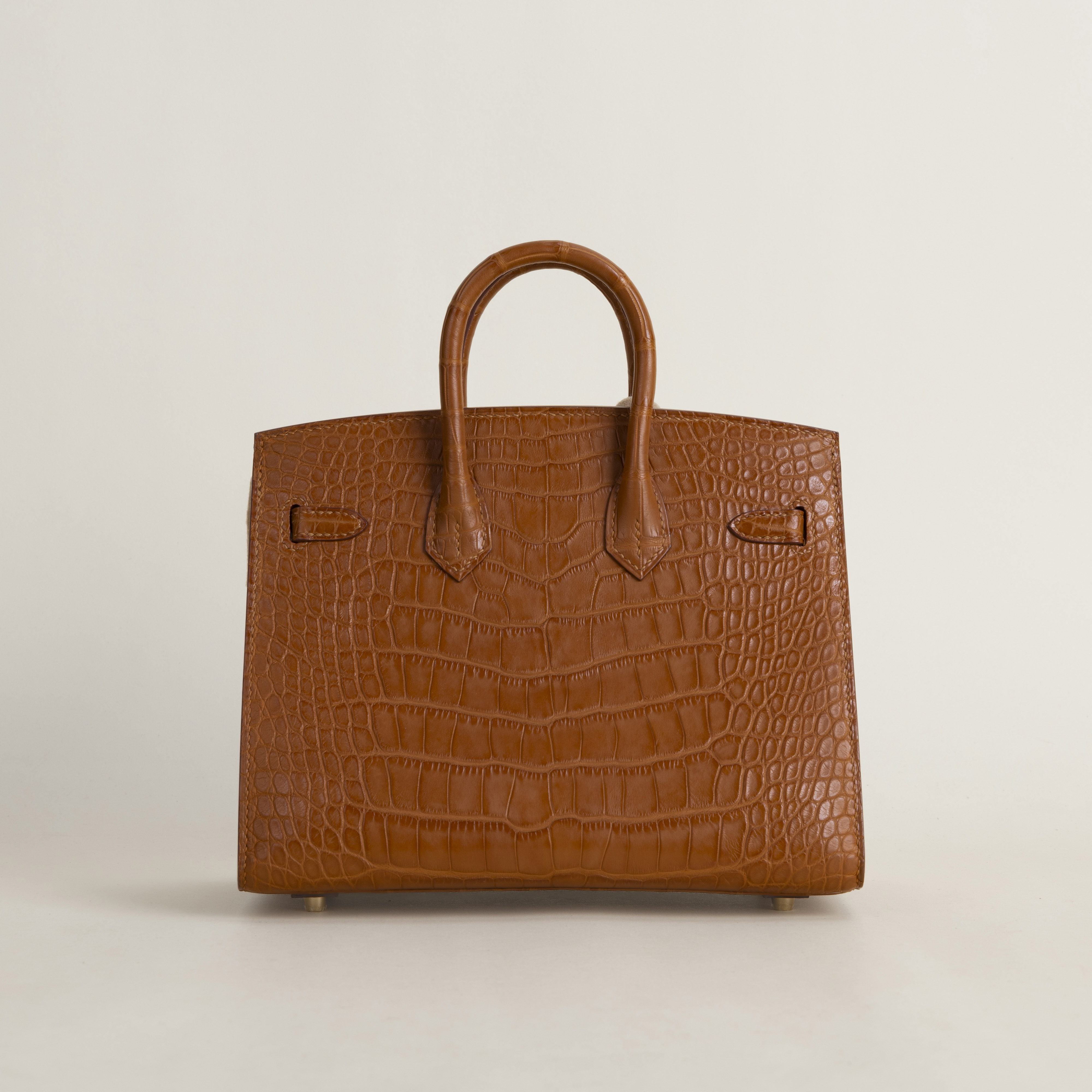 Birkin 20cm Matte Alligator Crocodile CC37 Gold GHW
