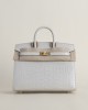Birkin 20cm Matte Alligator Crocodile 80 Pearl Gray GHW