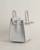 Birkin 20cm Matte Alligator Crocodile 80 Pearl Gray GHW