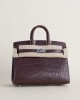 Birkin 20cm Matte Alligator 41 Havane PHW