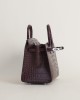 Birkin 20cm Matte Alligator 41 Havane PHW