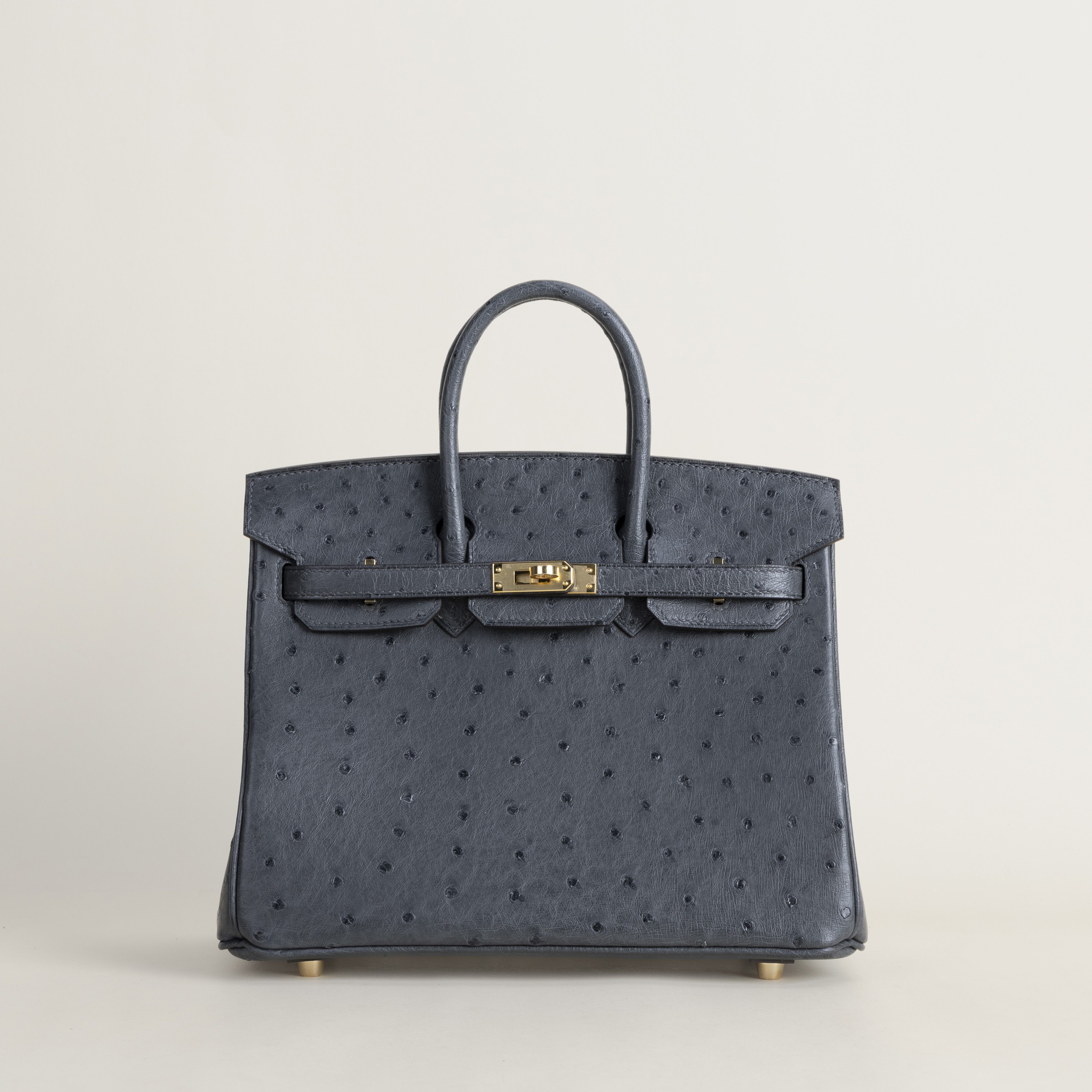 Birkin 25cm Ostrich 88 Graphite GHW