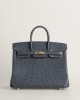 Birkin 25cm Ostrich 88 Graphite GHW