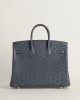 Birkin 25cm Ostrich 88 Graphite GHW