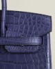 Birkin 25 Matte Alligator Crocodile 7L Bleu De Malte PHW