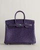 Birkin 25 Matte Porosus Crocodile 9G Amethyste PHW