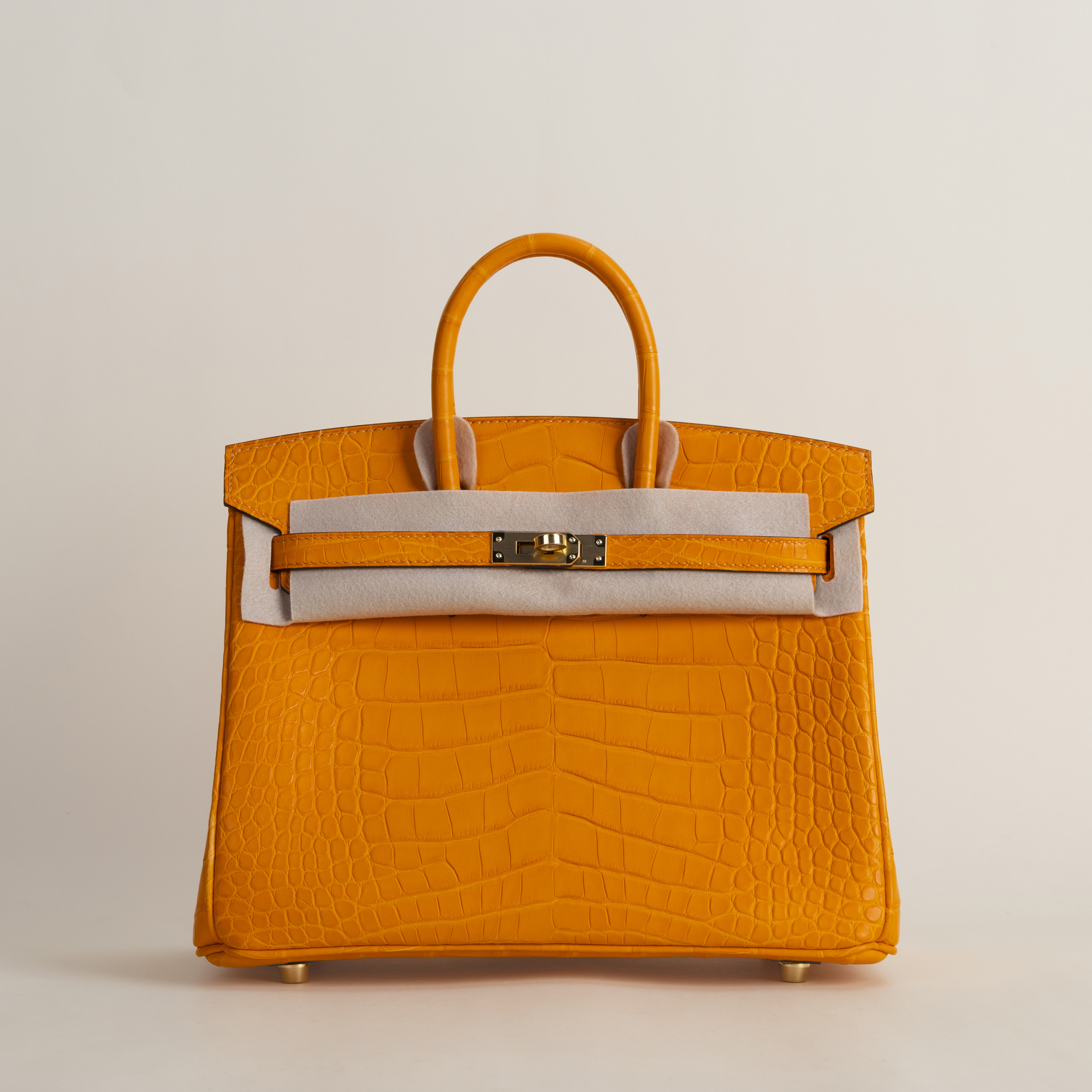 Birkin 25 Matte Alligator Crocodile I9 Apricot GHW