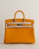 Birkin 25 Matte Alligator Crocodile I9 Apricot GHW