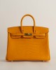 Birkin 25 Matte Alligator Crocodile I9 Apricot GHW