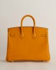 Birkin 25 Matte Alligator Crocodile I9 Apricot GHW