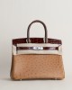 Birkin 30cm Touch OstrichShiny Alligator Crocodile 35 Cognac33 Miel PHW