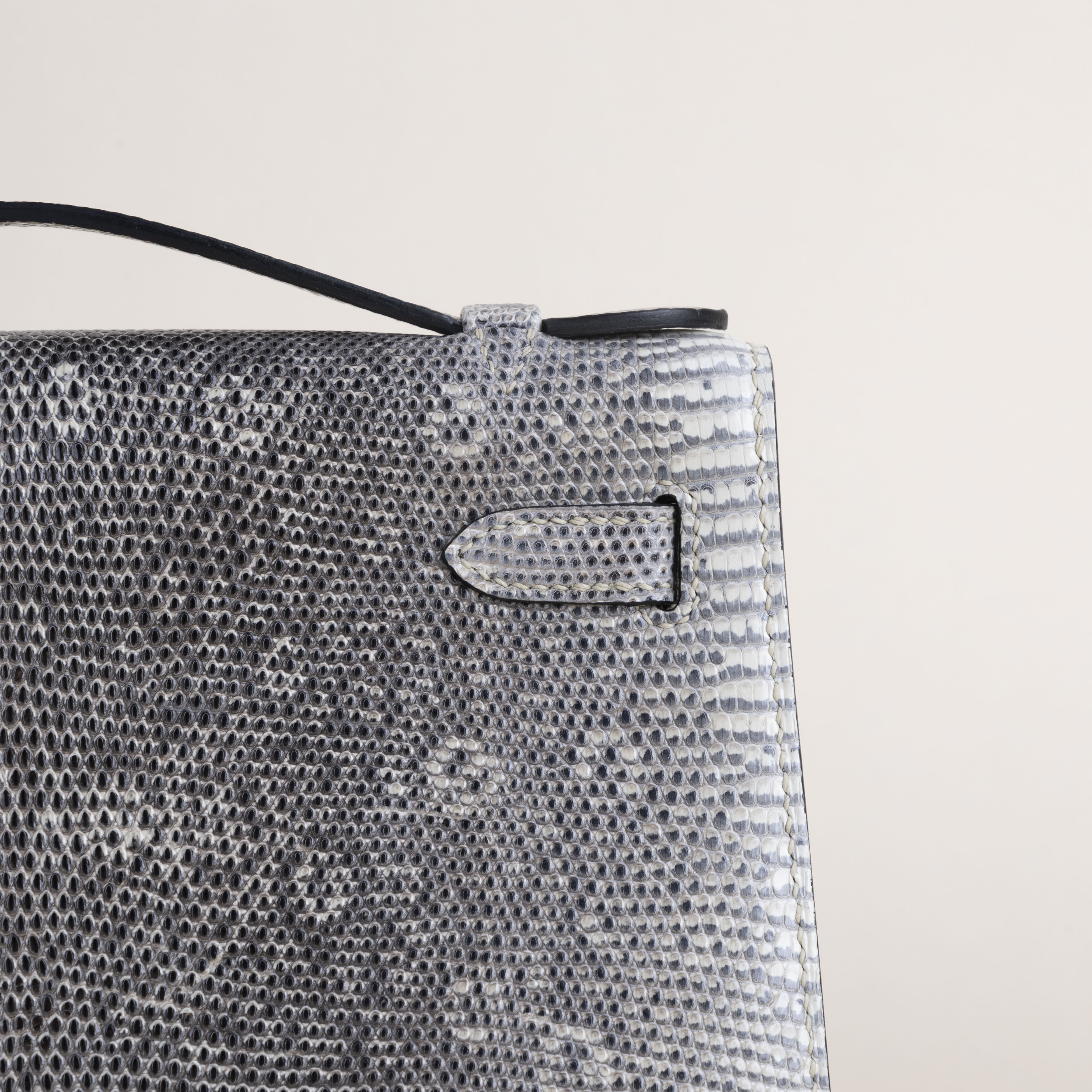Kelly Pochette Lizard Skin 1B Ombré PHW