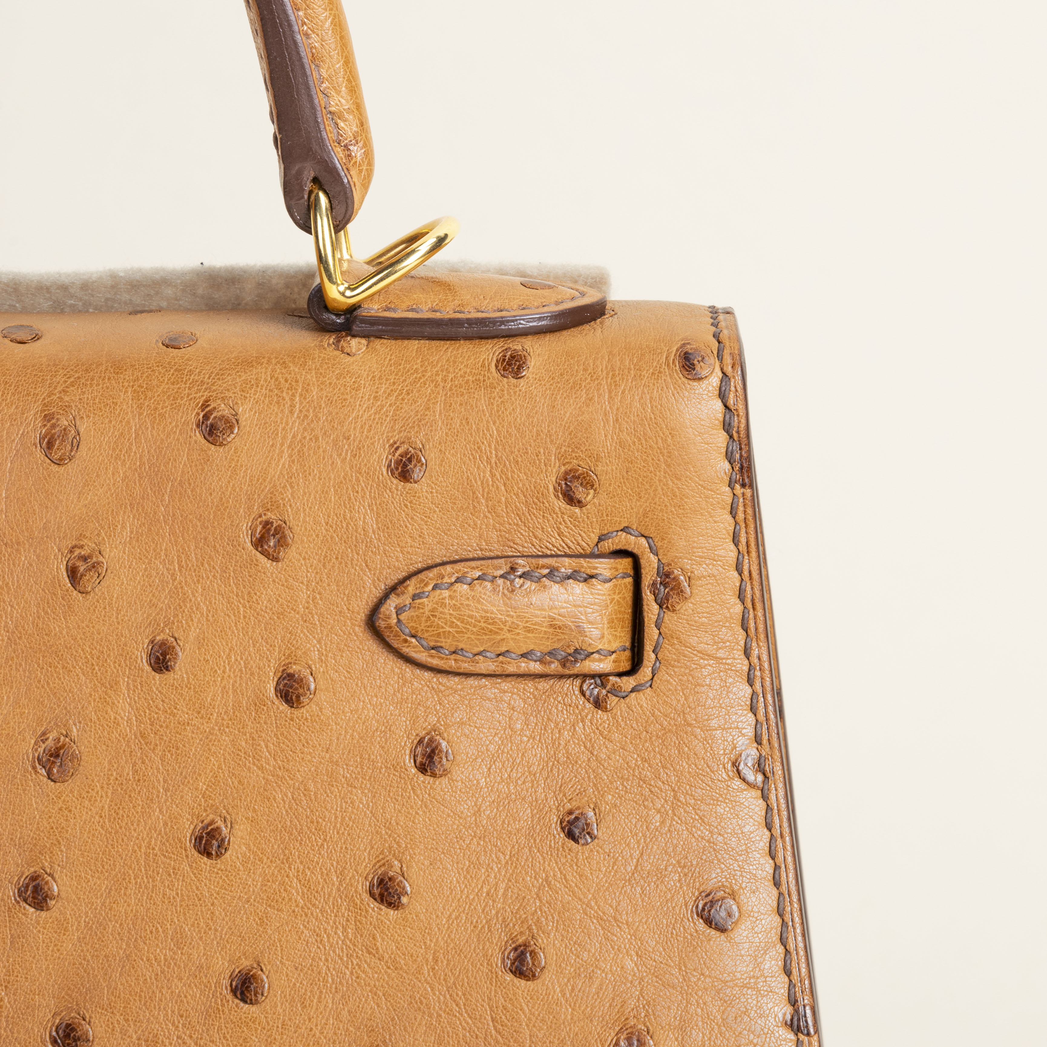 Kelly25 Ostrich Cognac GHW