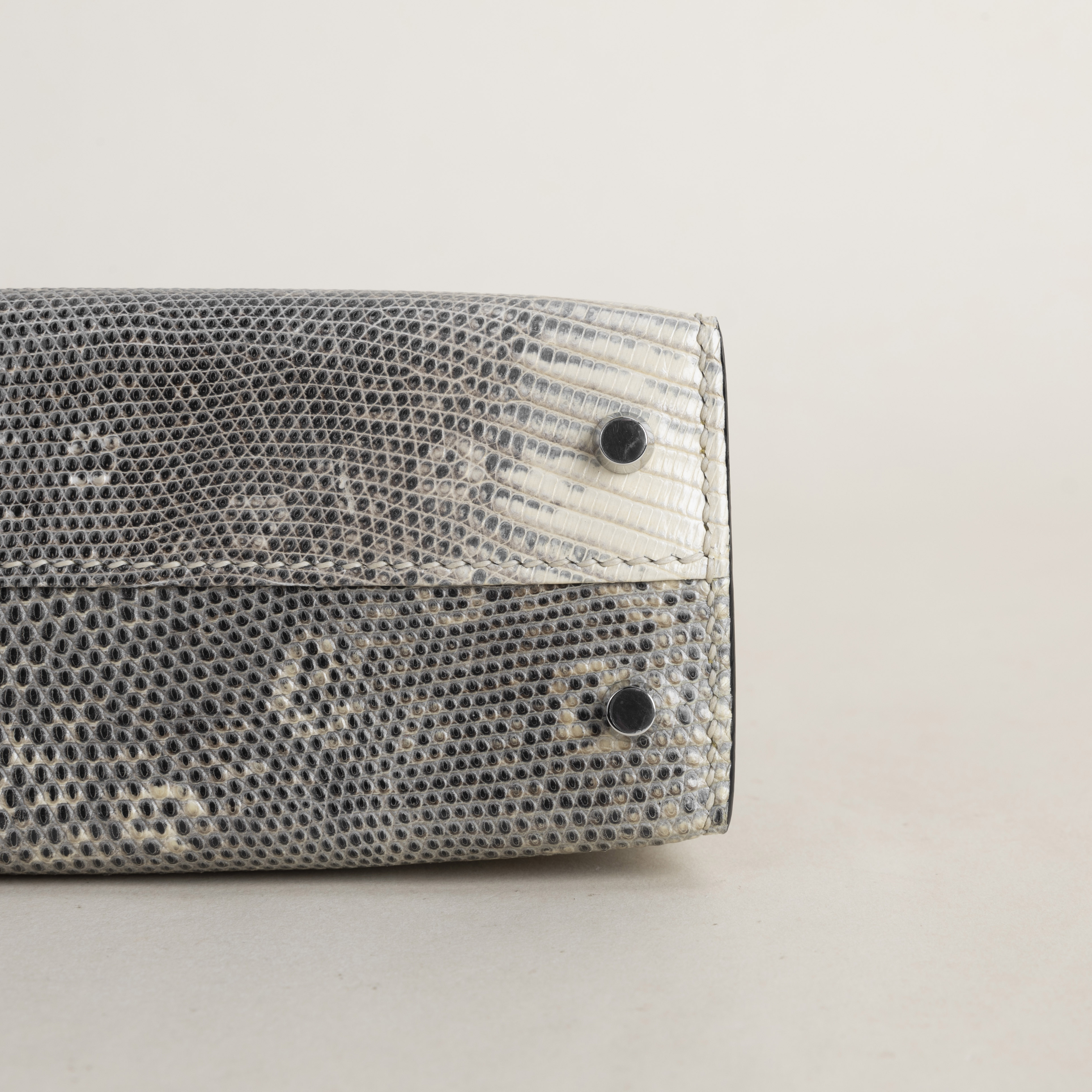 Mini Kelly II Lizard Skin 1B Ombre PHW