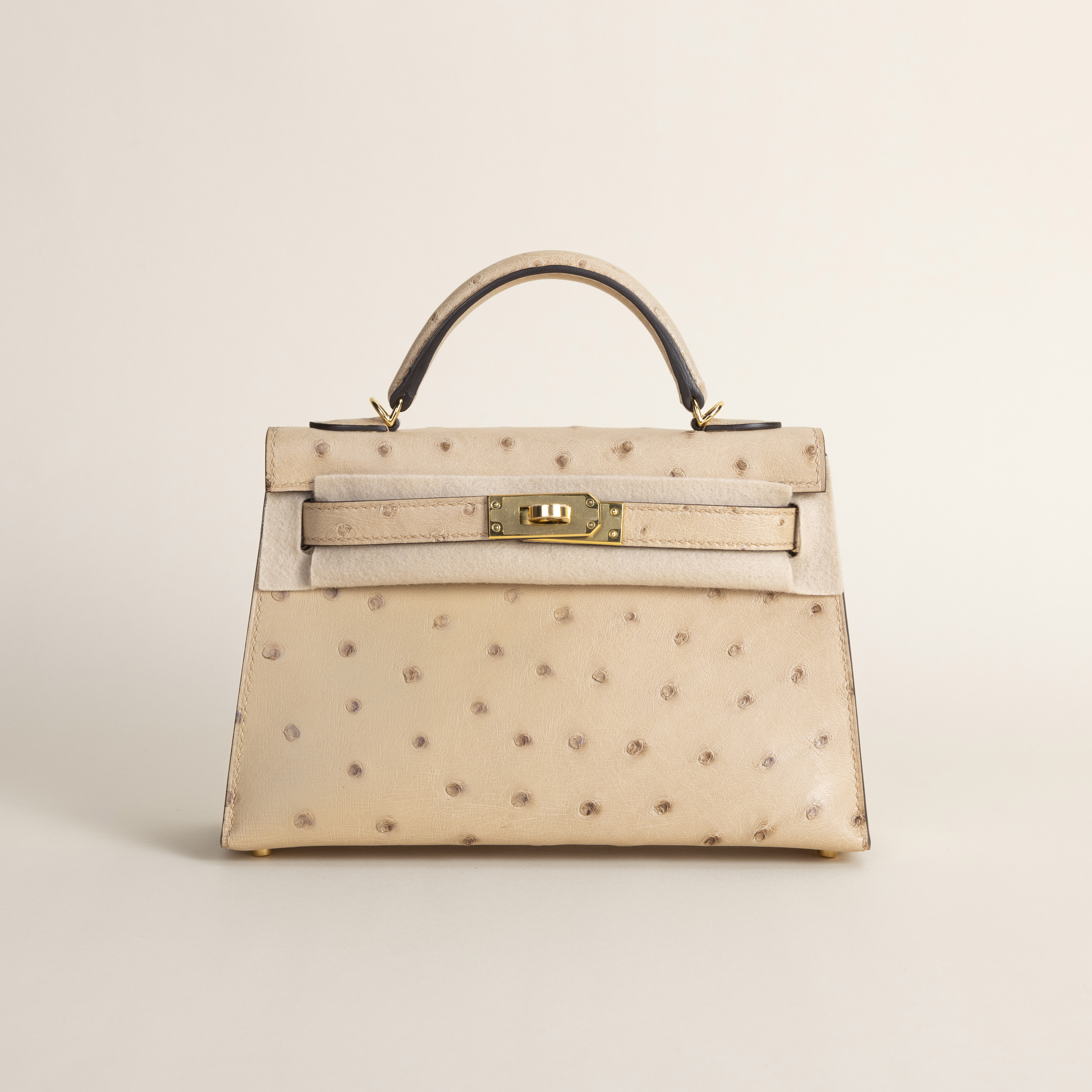 Mini kelly Ostrich Chai ghw