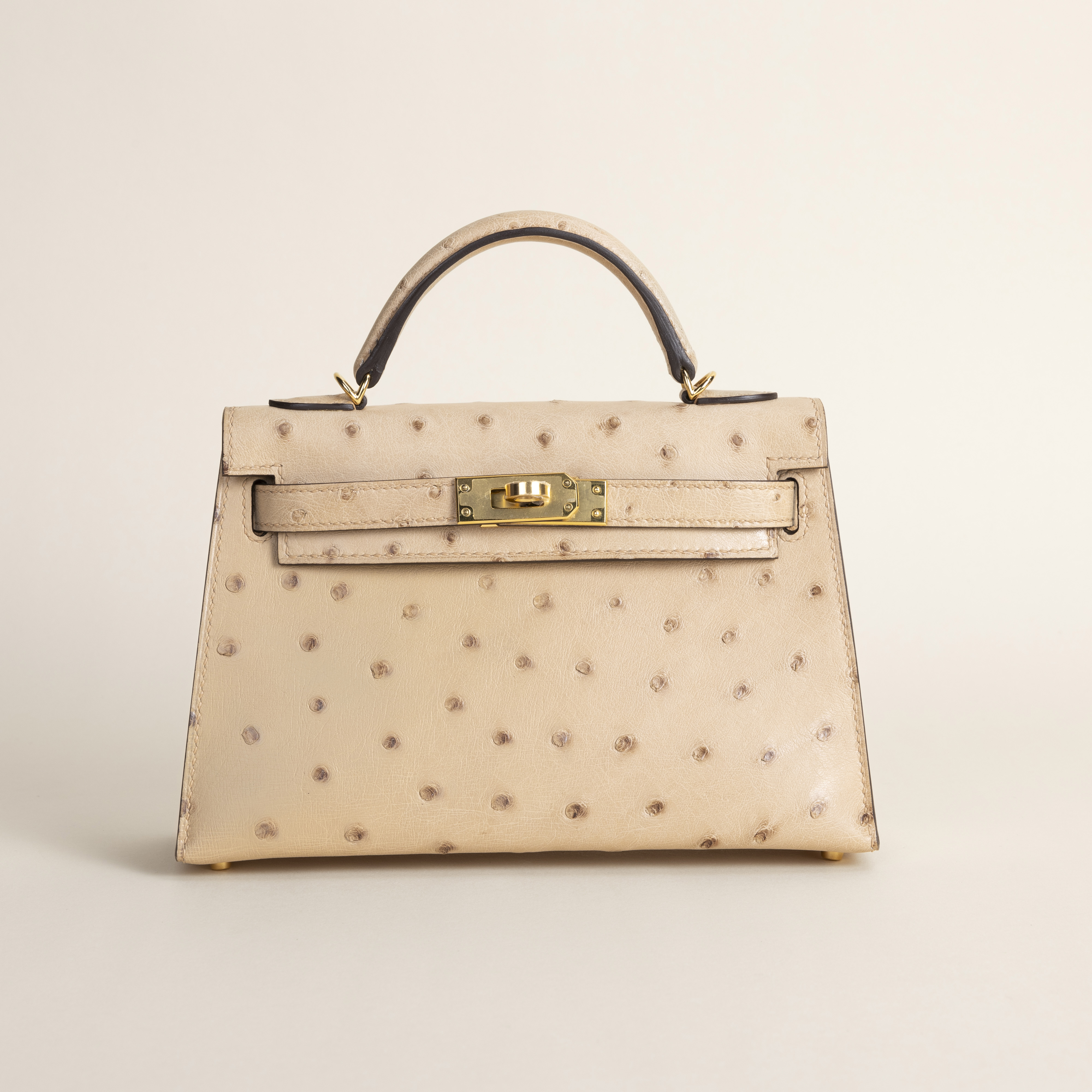 Mini kelly Ostrich Chai ghw