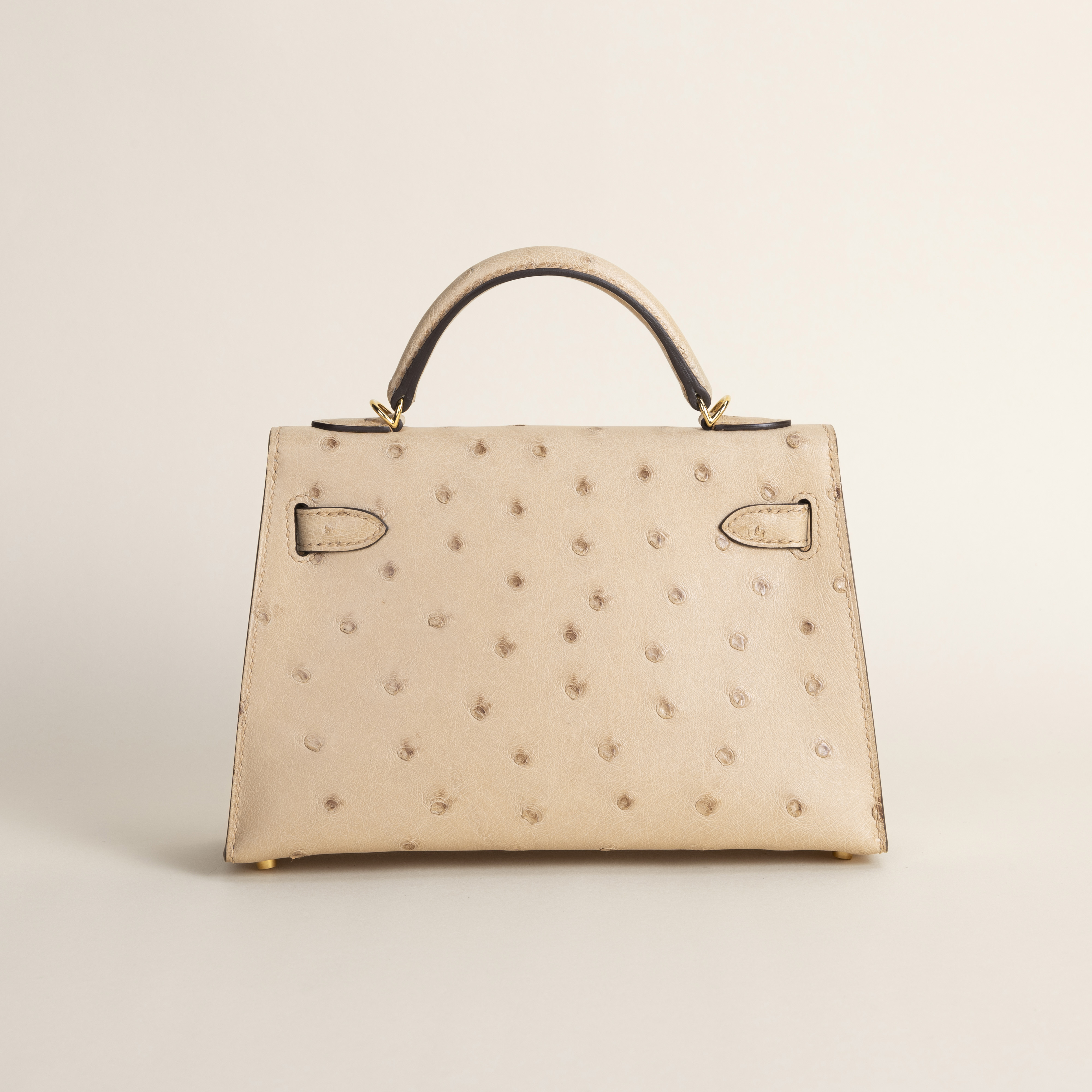 Mini kelly Ostrich Chai ghw