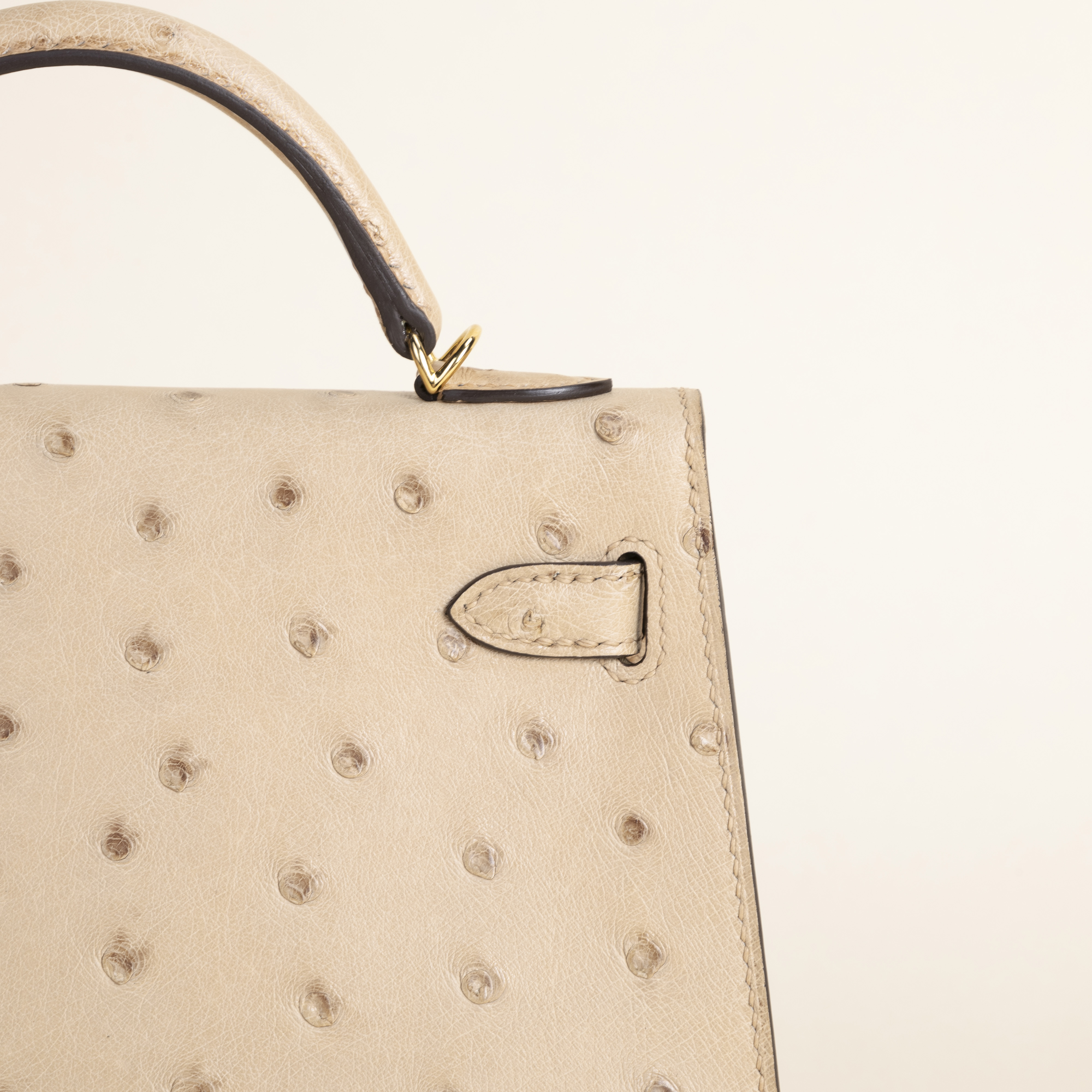 Mini kelly Ostrich Chai ghw