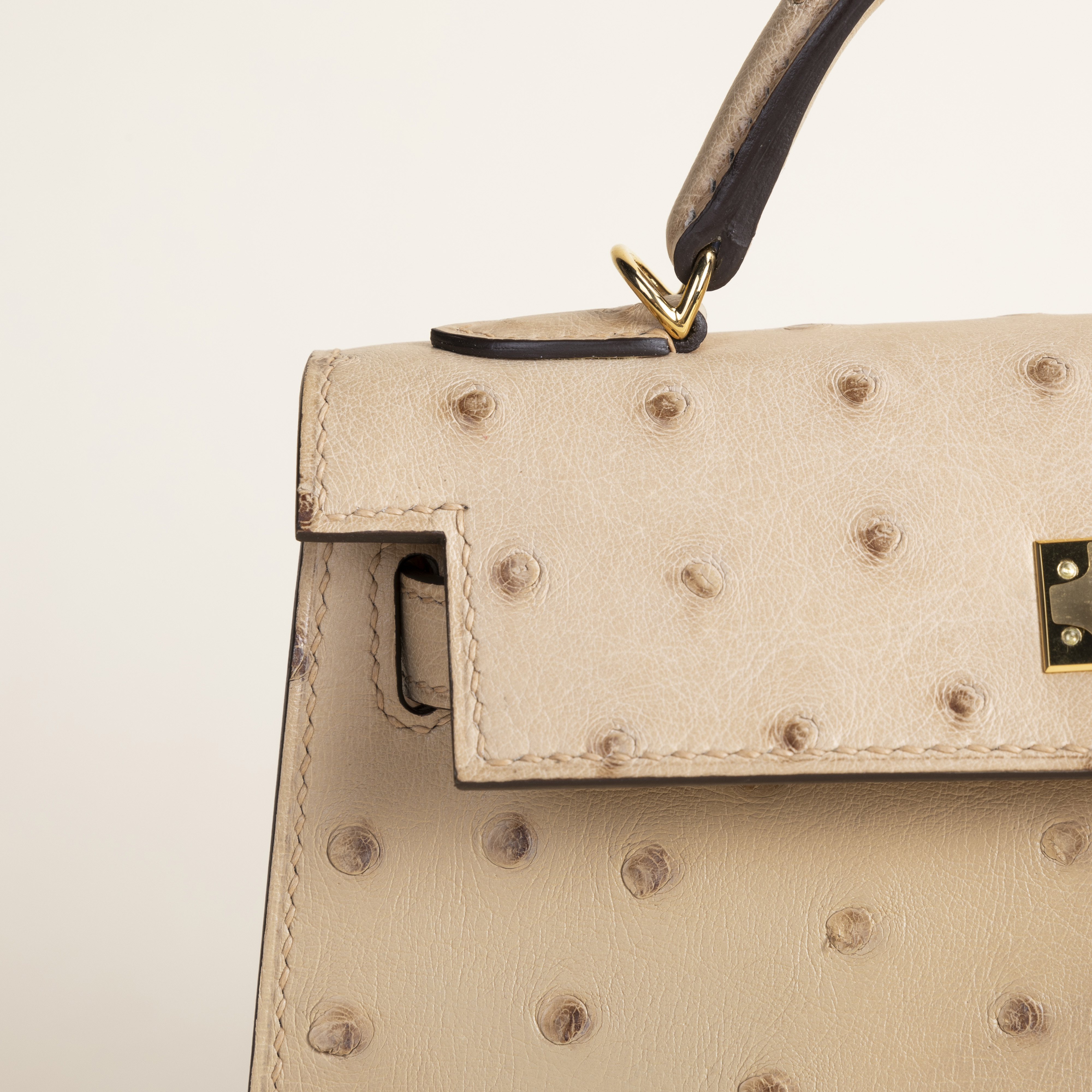 Mini kelly Ostrich Chai ghw